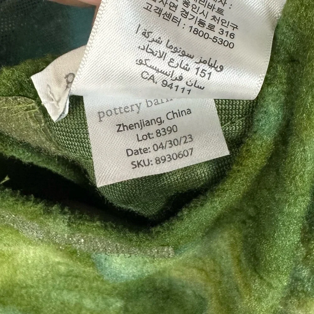 Pottery Barn Kids Green T-Rex Light Up Halloween Costume 4-6 - Picture 11 of 11